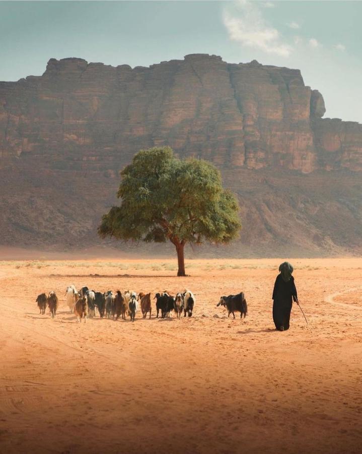 Ariana Luxury Camp Wadi Rum Extérieur photo